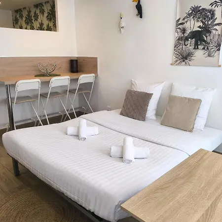 Appartement In Center Cannes